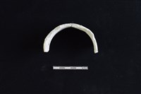 陶罐藏品圖，第2張